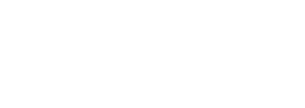 Southern Cross Logo White